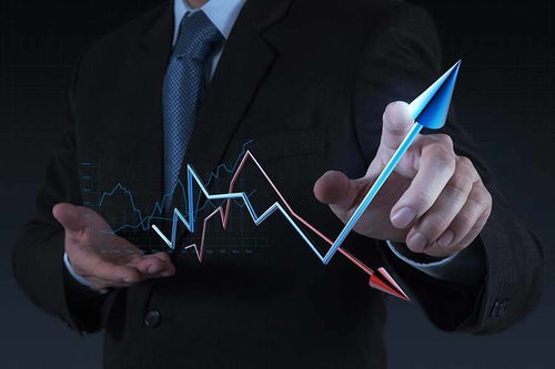 拓商之道 拼多多運營實戰攻略，告別“沒流量”困境的站內推廣秘笈