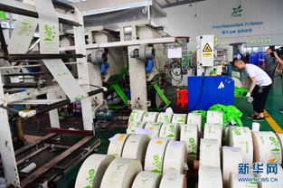 守護地球，從“塑”到“素”——南樂站內(nèi)推廣可降解塑料制品行動